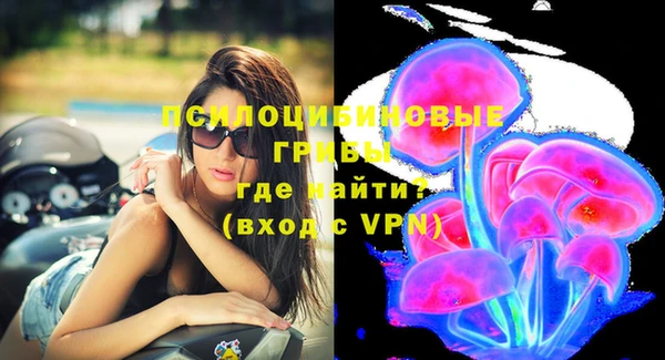 прущий лед Гусев