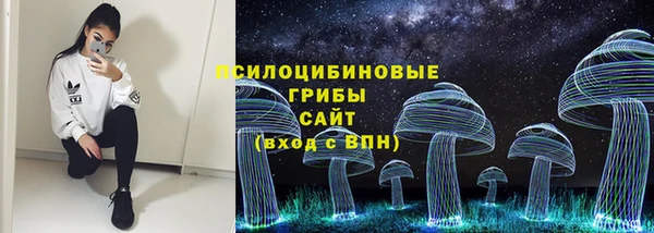 прущий лед Гусев