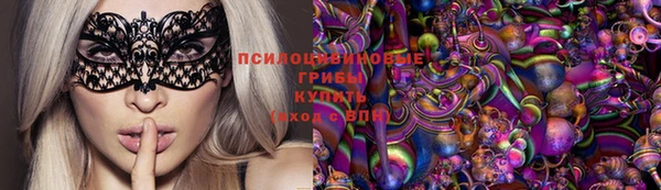 прущий лед Гусев