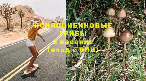 таблы Дмитровск